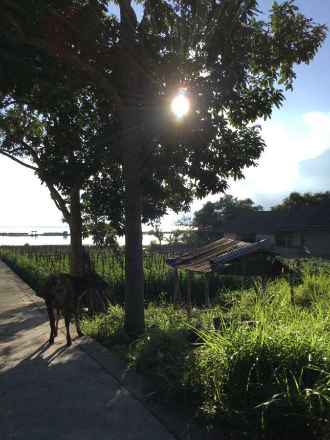 The Villa'S Kubu Sandan Kintamani Eksteriør billede